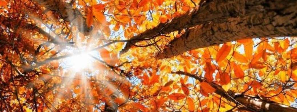 A la chaleur de l'automne