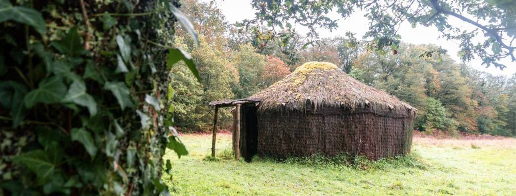 A la découverte de la forêt de Coatloc’h 