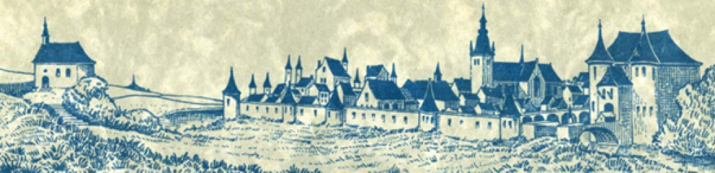 A la découverte de l'histoire de la ville de Marche-en-Famenne