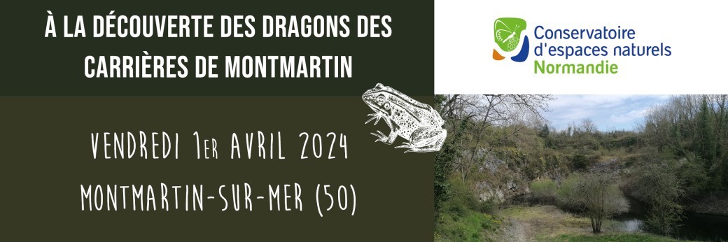 A la découverte des dragons des carrières de Montmartin 01/04/2024