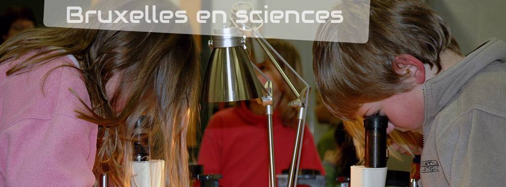 A la découverte des micro-organismes