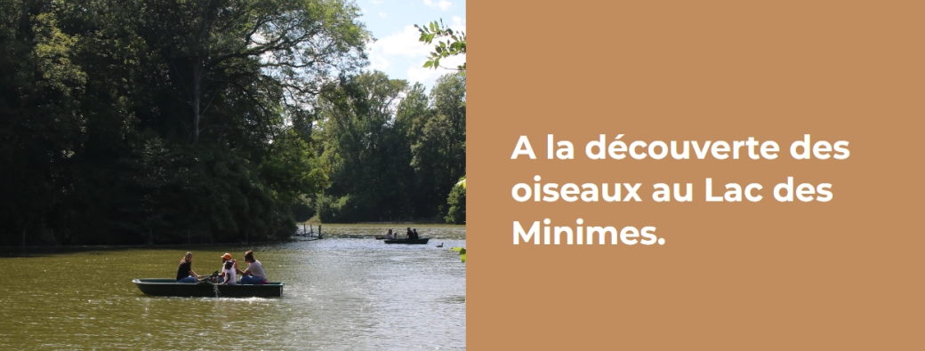 A la découverte des oiseaux au Lac des Minimes