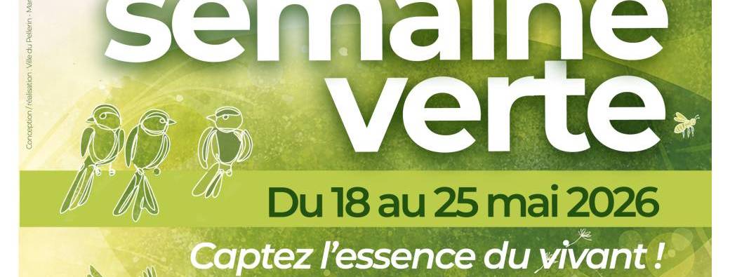 A la découverte des oiseaux (Avec un guide LPO) - MERCREDI 20 MAI