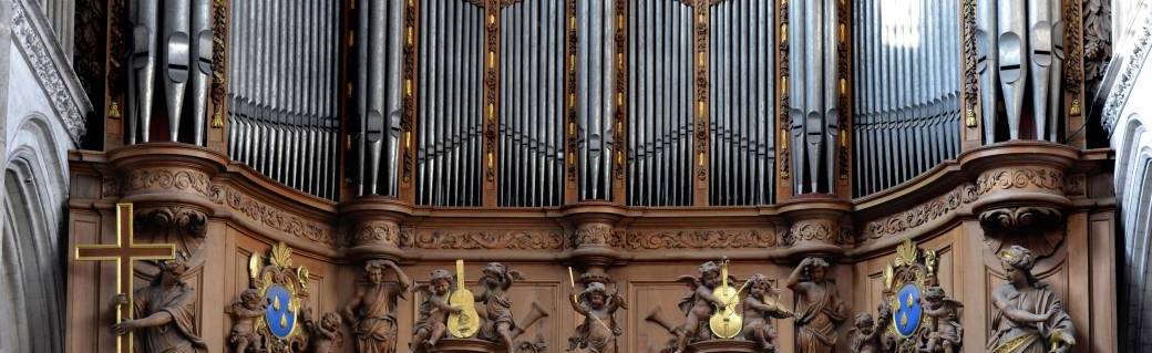 VISITE GUIDÉE | A la découverte du buffet d'orgue de la Cathédrale Notre Dame de Saint-Omer