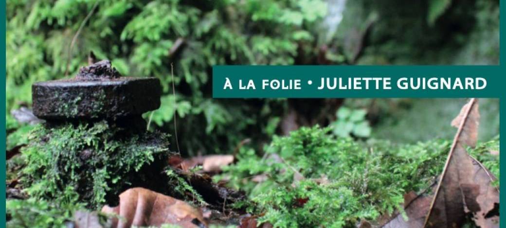A la folie ! L'enregistrement - Juliette Guignard