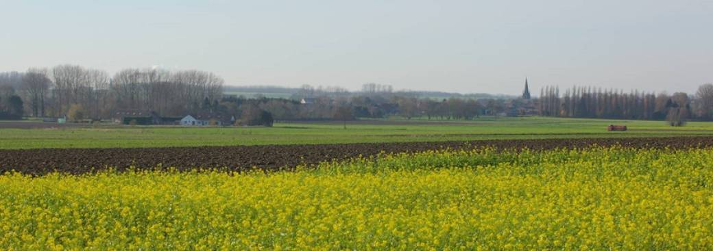 A la redécouverte des paysages remarquables du Parc naturel - la Commune de Beloeil