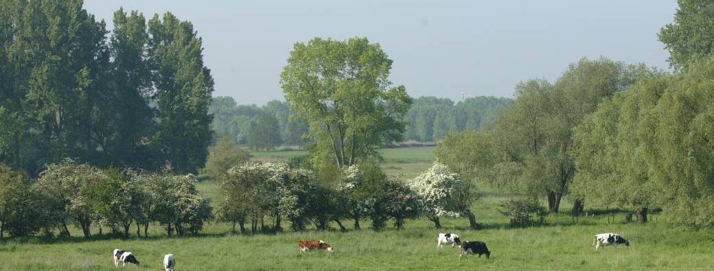 A la redécouverte des paysages remarquables du Parc naturel - la Commune de Péruwelz