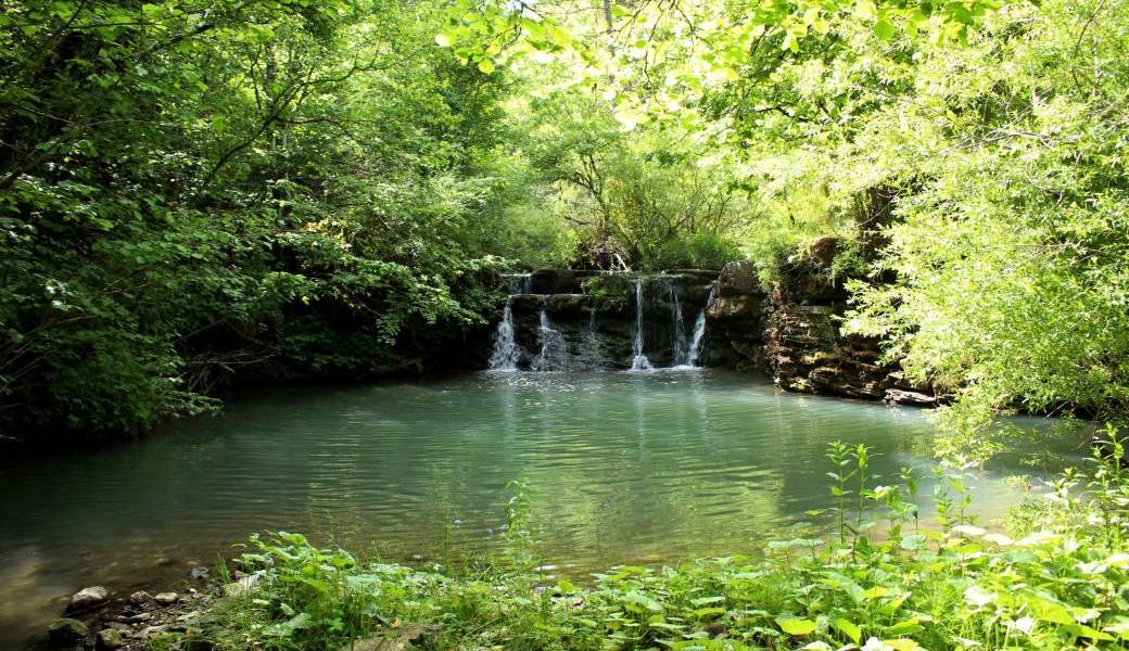 A la rencontre de la Lergue haute...