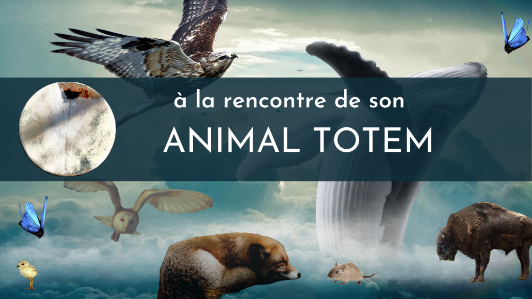 A la rencontre de son animal Totem 