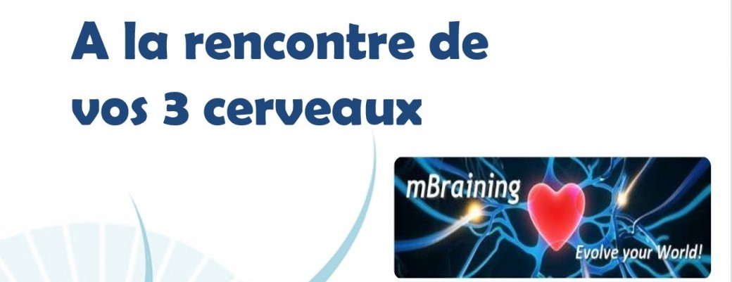 CONFERENCE : A la rencontre de vos 3 cerveaux 