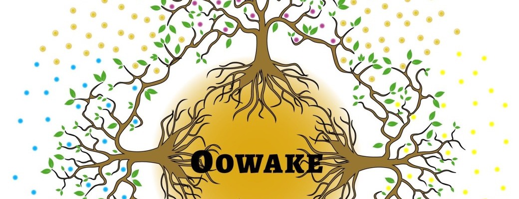 a la rencontre de votre dragon septembre 26