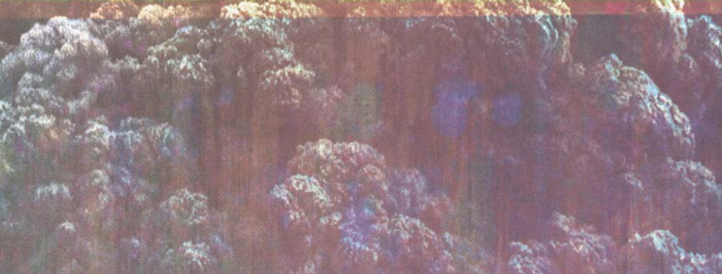 a ppr oc he 9e édition - VIP Guest