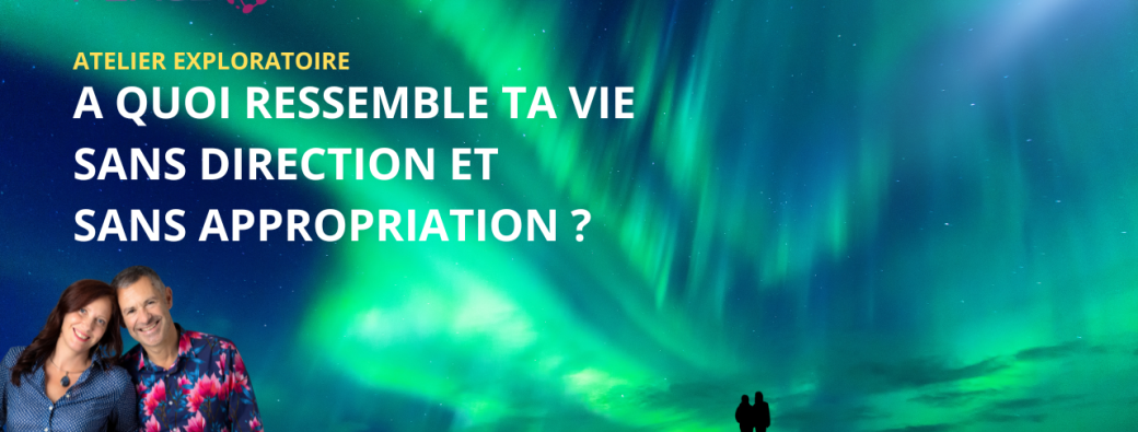 A QUOI RESSEMBLE TA VIE SANS DIRECTION ET SANS APPROPRIATION ?