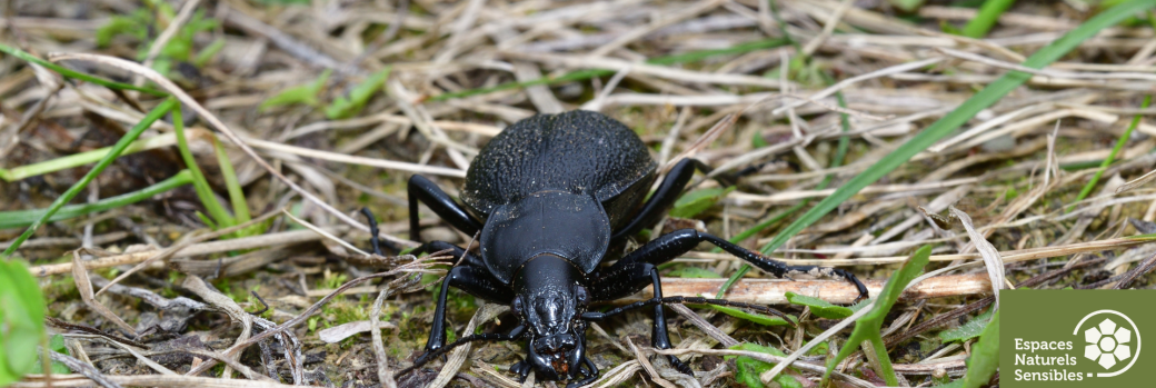 Ça s'active sous nos pieds