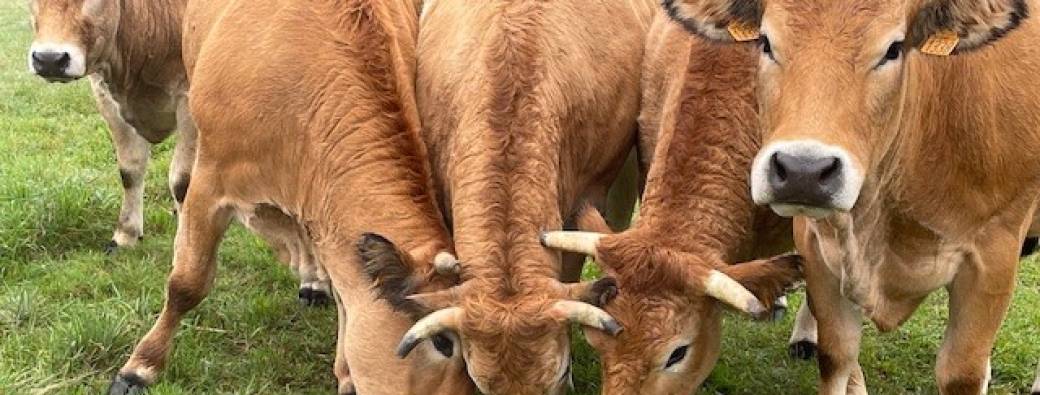 La ferme aux mille PAT'tes