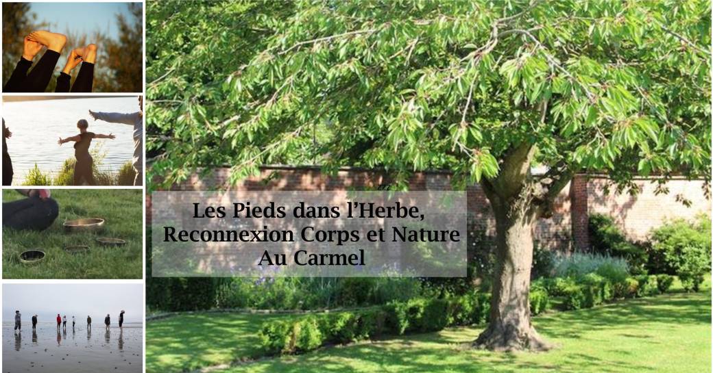 Abbeville - Les Pieds dans l'Herbe - Reconnexion Corps & Nature