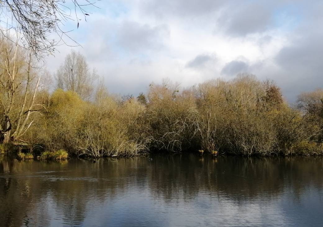 Abbeville, Parc du Marais de la Bouvaque