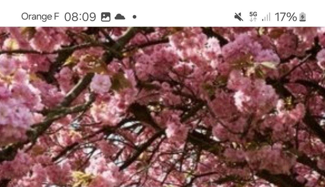 ABONNEMENT ANNUEL PEM POUR 1 AN À LA DATE D'ACHAT (ÉVÉNEMENTS DE CHRISTOPHE PEM, RANDONNÉE,...)