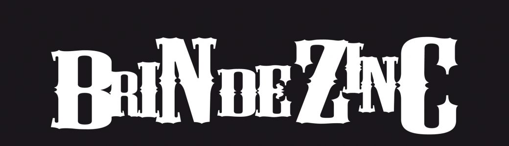 Abonnement Brin de Zinc 2025-2026