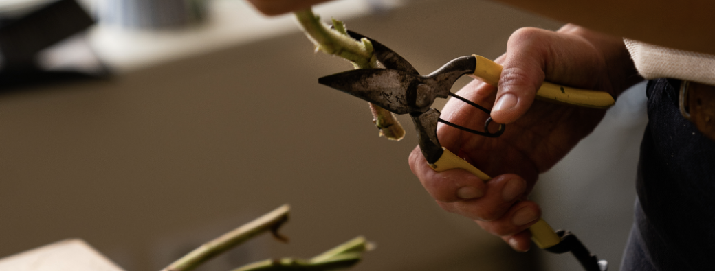 Abonnement floral 2026