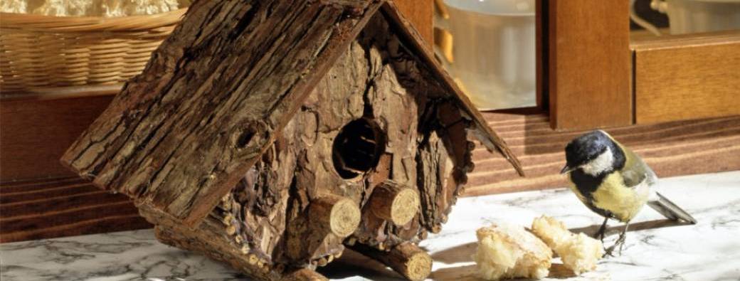 abri  et goûter pour les oiseaux (  7 ans et plus)
