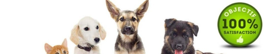 ACACED 100% classe virtuelle