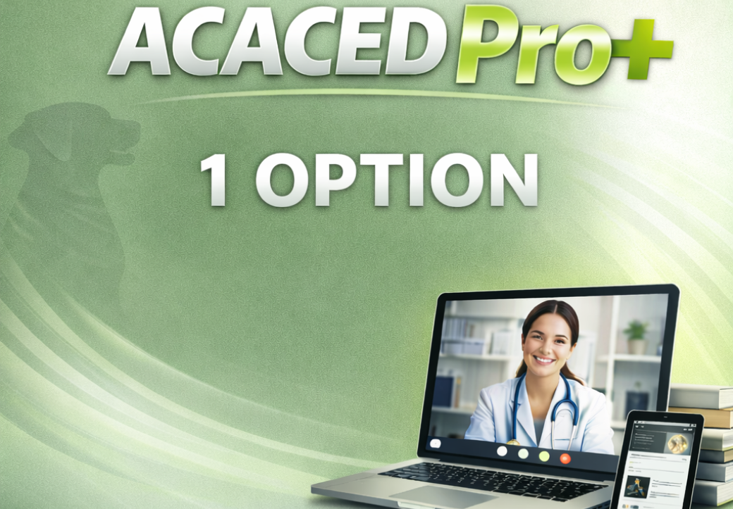 ACACED PRO+ 1 option
