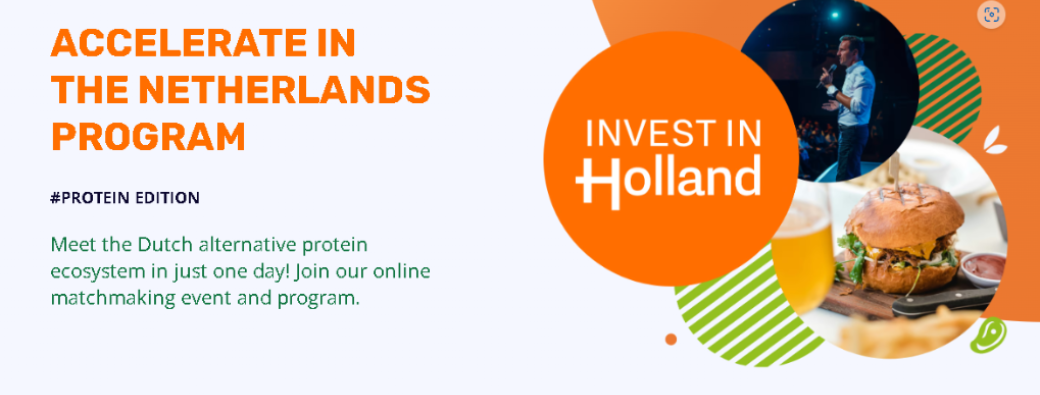 Accelerate in the Netherlands