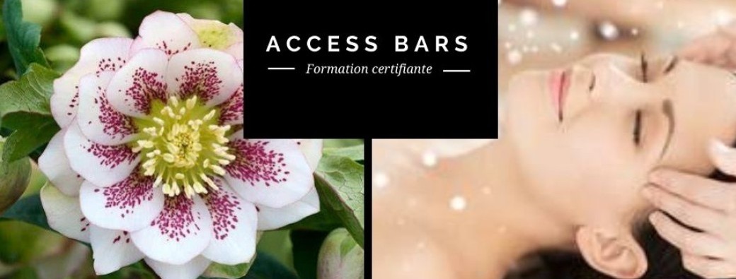 Access Bars