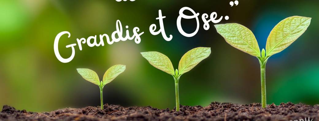 Accompagnement à la métamorphose 