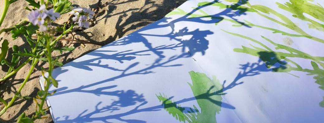 Accompagnement personnalisé, entre bain de forêt et dessin intuitif