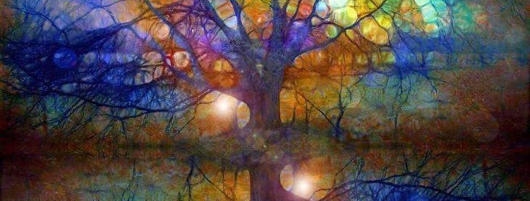 Accompagnements individuels & collectifs