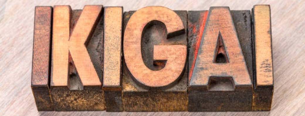 Accompagner avec l'IKIGAI - Session 4
