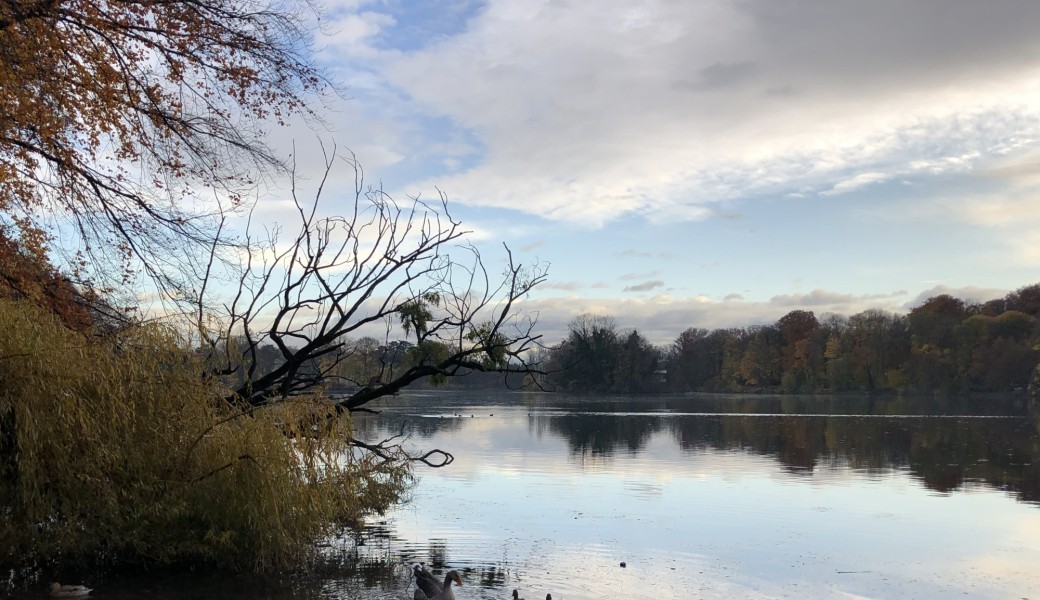 Accompagner / Coacher dans la Nature 