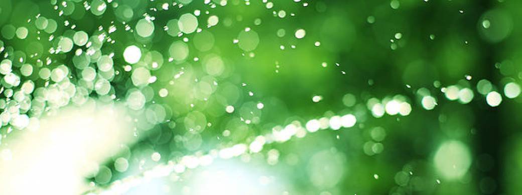 formation : Les Soins du Lotus