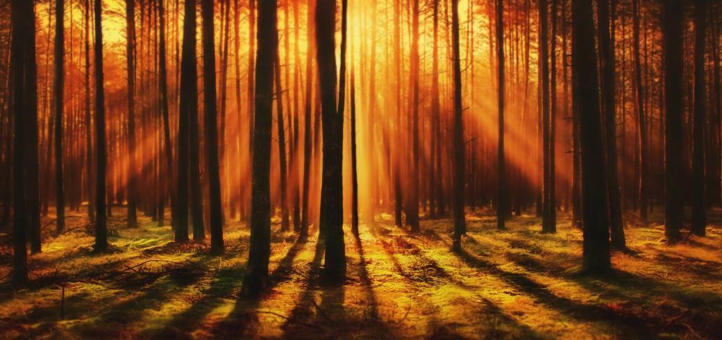 Accueil du Soleil | Rituel de rayonnement d'énergie 