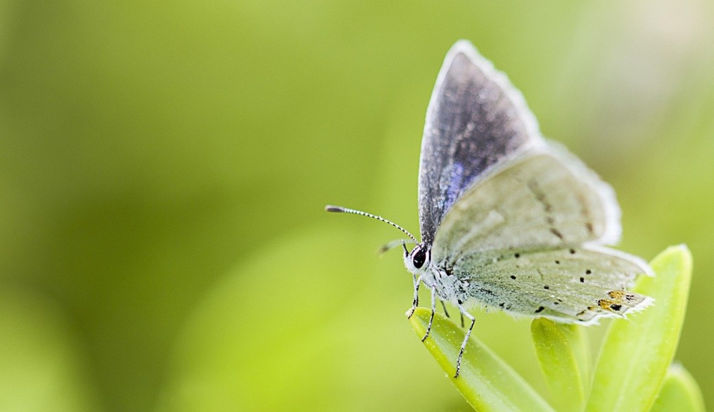 Accueillir 2026 par ma Visualisation Créatrice