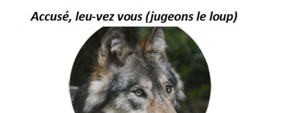 Accusé, leu-vez vous !