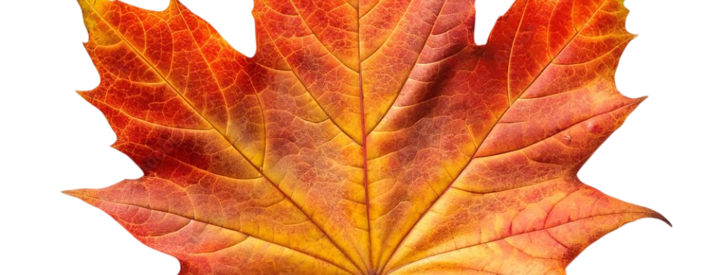 Acrylique : feuilles d'automne
