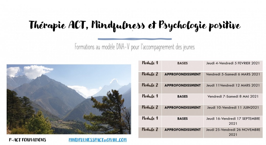 ACT pour l'accompagnement des jeunes : approfondissement au modèle DNA-V