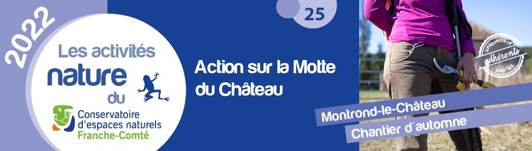 Action sur la Motte du Château
