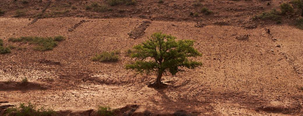Activation de Kundalini - Innerdance