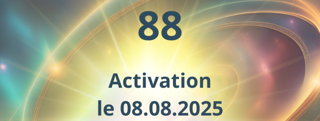 Activation Portail 8.8 