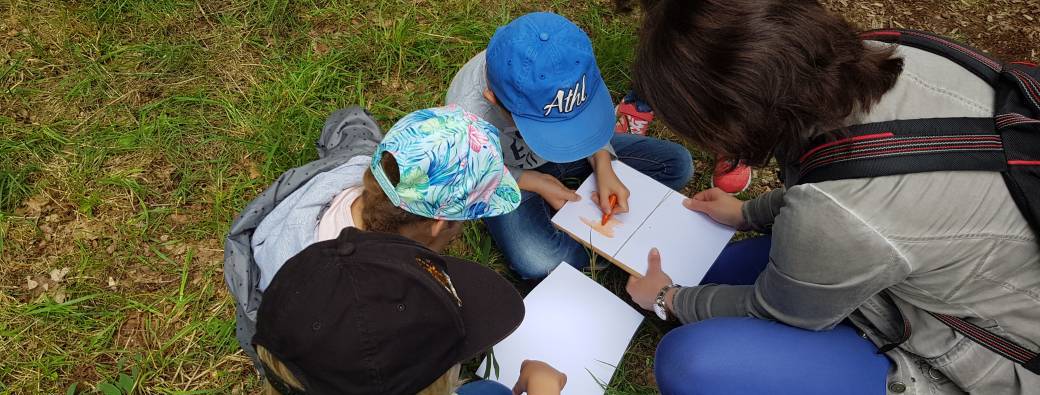 Activité famille  "Détective de la forêt"