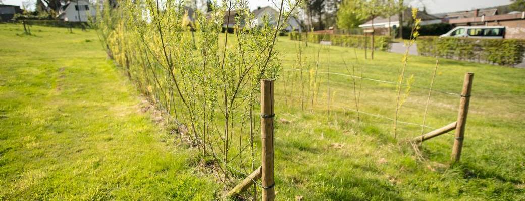 Concevoir et entretenir des jardins résilients: gestion de l'eau et végétalisation - Gembloux
