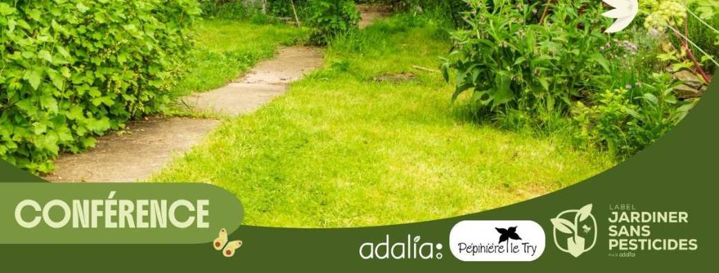 Adapter son jardin face aux changements climatiques (conférence)