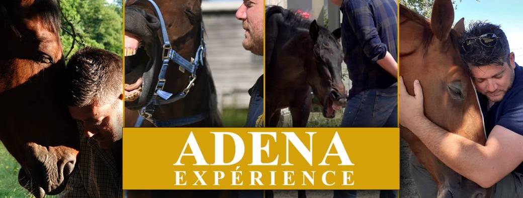 ADENA EXPERIENCE -  En Corse - 11 - 12 - 13 Septembre 2026