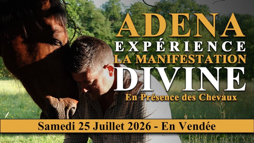ADENA EXPERIENCE