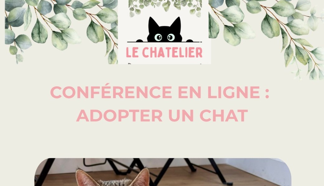 Adopter un chat