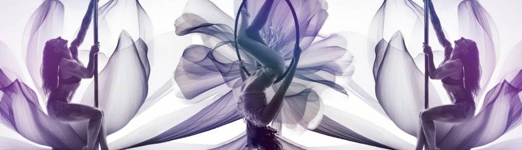 AERIAL SHOOT " Arts Flowers " By Patrice Farrugia POLE DANCE 13 (Aubagne)